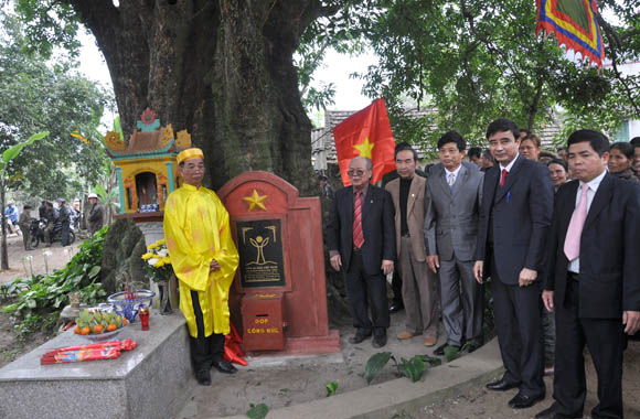 30[-]NĂM[-]VACNE:[-]Vinh[-]danh[-]Cây[-]Di[-]sản[-]Việt[-]Nam[-]tại[-]Hà[-]Nội,[-]Thừa[-]Thiên[-]-[-]Huế,[-]Hải[-]Dương,[-]Hải[-]Phòng,[-]Cao[-]Bằng,[-]Phú[-]Thọ,[-]Hòa[-]Bình,[-]Bắc[-]Ninh,[-]Vĩnh[-]Phúc,[-]Nghệ[-]An[-]